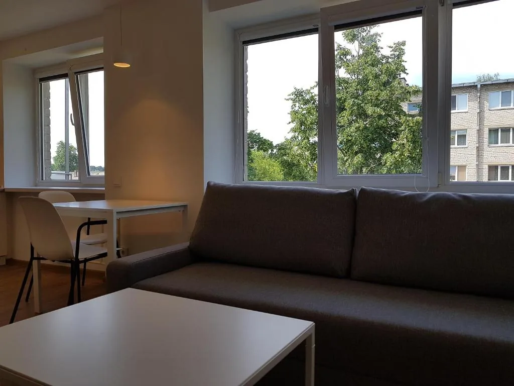 Anykščiai Cozy Studio